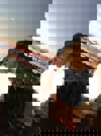 沖縄本舗　なつ-NATU-