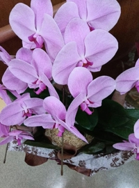 待ちナビ さとみ 有難う御座います