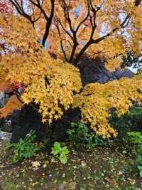 待ちナビ るな 退勤