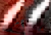 LOHAS(ロハス)　ひまり