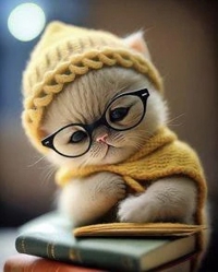 待ちナビ　みさ