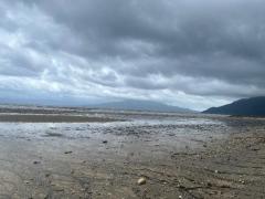 キャンディ　ラナ