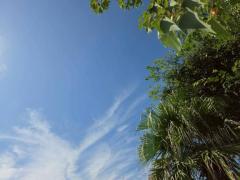 Spica(すぴか)　新★まい★完全業界初！