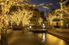 人妻24時　しずく