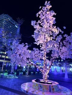 デリベッピン　ひとみ