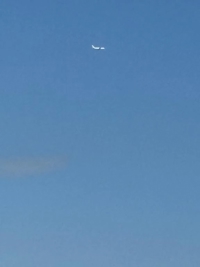 鹿児島ちゃんこ 霧島店　しずか