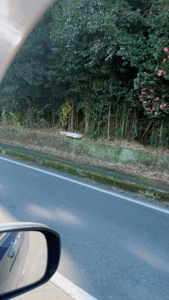 ミセス都城店　ゆずき