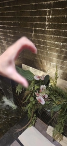 マドンナSANSAIN　りく