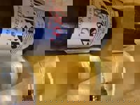 大人の遊園痴「スピーディー」　りつ（敏感で癒し系）