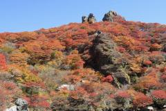 一夜の愛人　もか