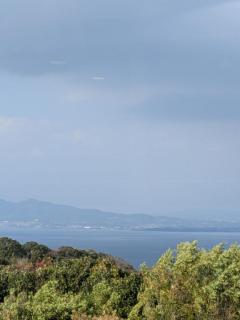 ぷにっ娘(デリヘル) 澄子ｽﾐｺ