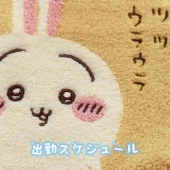 CLUB LUMINE　Mashiro【ましろ】