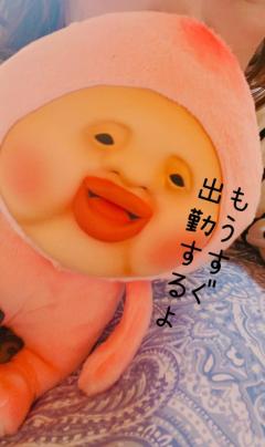 JaPON　楓　良い値コース