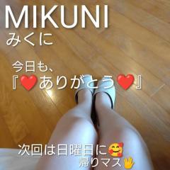 人妻ステーションポータブル　みくに