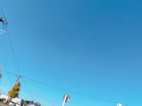 宮崎ちゃんこ都城店　くぅ