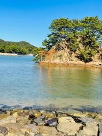 待ちナビ　しょう