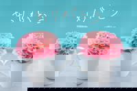 スウィートルーム　すぎもと