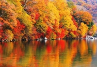 待ちナビ　まお