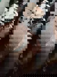 宮崎ちゃんこ中央通店　はお