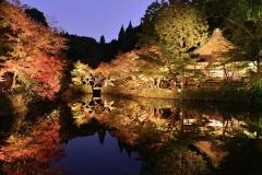 人妻24時　しずく