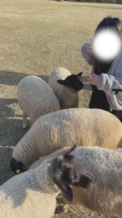  せな☆GおぱいドM嬢は感度抜群☆