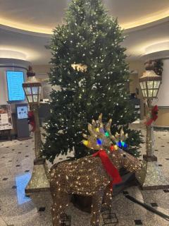 エンタメGR　ゆりこ