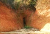 マドンナSANSAIN　りく