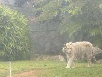 待ちナビ(福岡市) しょう