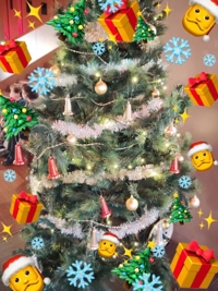 鹿児島ちゃんこ薩摩川内店　せいこ