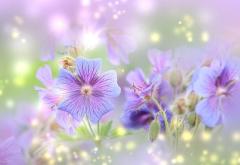 Spica(すぴか)　★ラン★超淫乱美女降臨