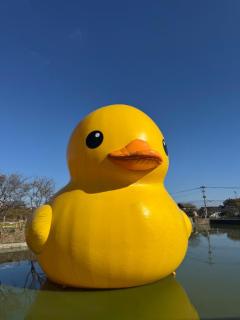 ぷにっ娘　元子ﾓﾄｺ