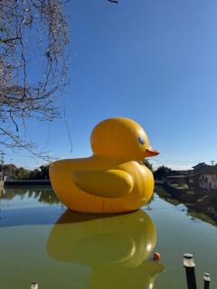 JaPON　元子　良い値コース