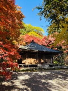 JaPON　元子　良い値コース