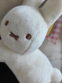 Spica(すぴか)　新★まい★完全業界初！