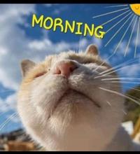 待ちナビ　ひろか