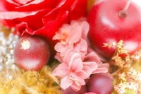 待ちナビ　ひめか