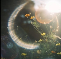 フェアリー【鹿児島店】　りりこ【綺麗すぎる未経験美女】