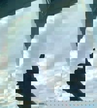 沖縄本舗　はな-HANA-