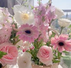 CLUB LUMINE　Kurumi【くるみ】