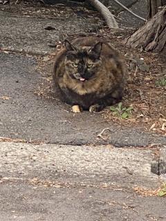 都城デリヘル ゲット24時間　あい