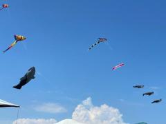 Spica(すぴか)　★さくらこ★WHITEコース