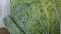 ご主人様いらっしゃい 大分店　ルイ♡スレンダー、即尺サービス（希望の方）