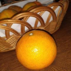 人妻ｒｅ：スタート　山崎涼子【宮崎体験】