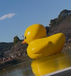 JaPON(デリヘル) 環菜ｶﾝﾅ