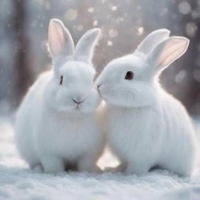 マドンナSANSAIN　あきな