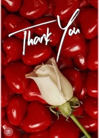 待ちナビ こゆき お礼です