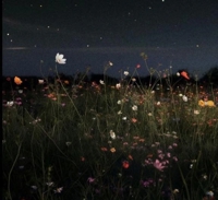 フェアリー【鹿児島店】　りりこ【綺麗すぎる未経験美女】