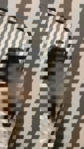 宮崎ちゃんこ中央通店　さや