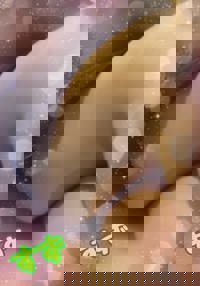 大人の遊園痴「スピーディー」　すず（感度ビンビン癒し妻）