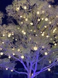 マドンナSANSAIN　はるな